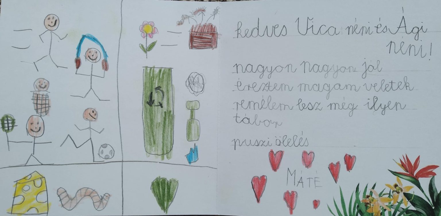Vélemény Zsibongó grund
